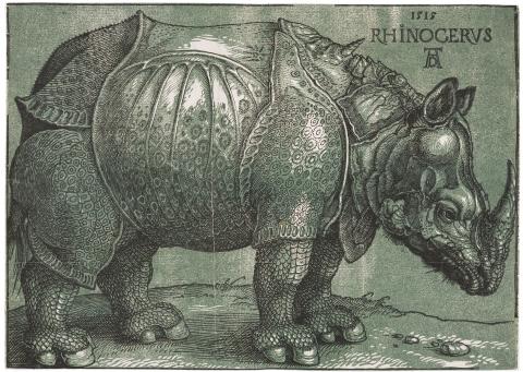 Albrecht Dürer, Das Rhinozeros, 1515